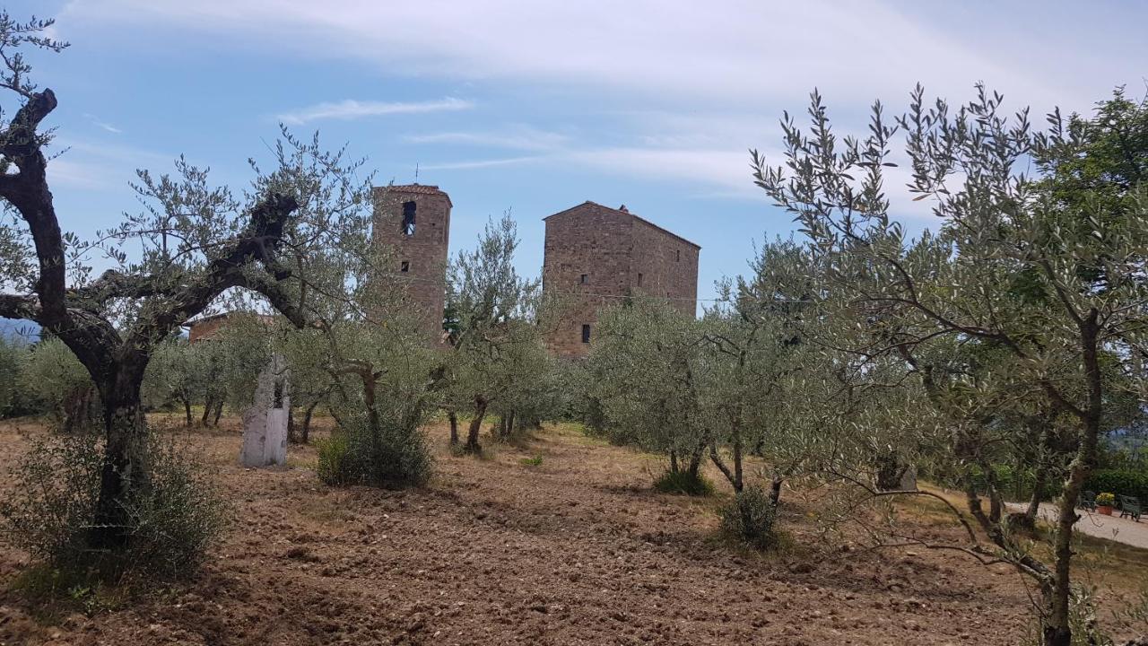 Casa Bruna - Cipresseta Del Chianti Castellina in Chianti Zewnętrze zdjęcie